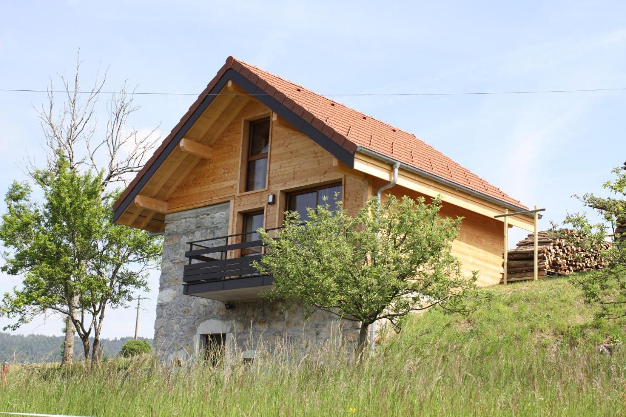 Le Chalet Des Pierres Viuz-en-Sallaz Exteriér fotografie